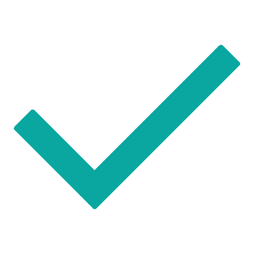 check icon